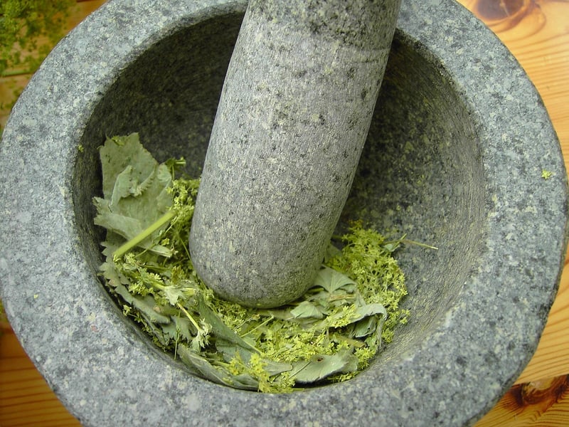Dark Plant Alchemy