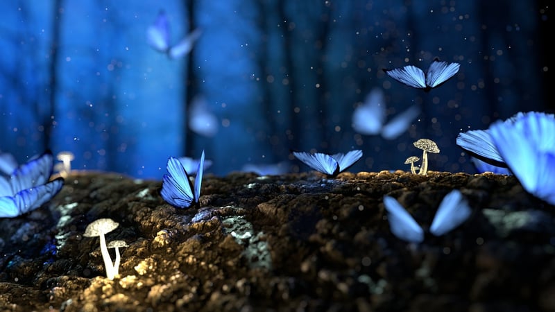 Enchanted Fairy Tale Garden