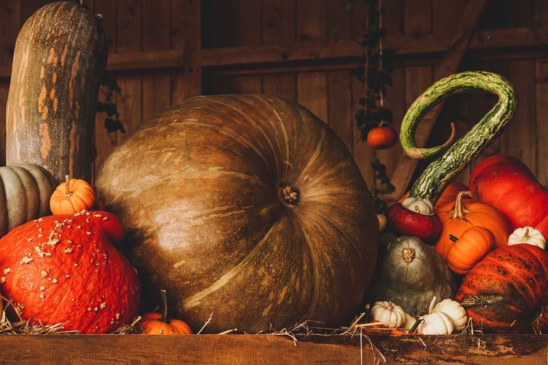 Harvest Charms